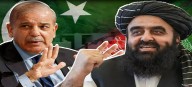 Afghanistan & Pakistan agree to ceasefire after Qatar