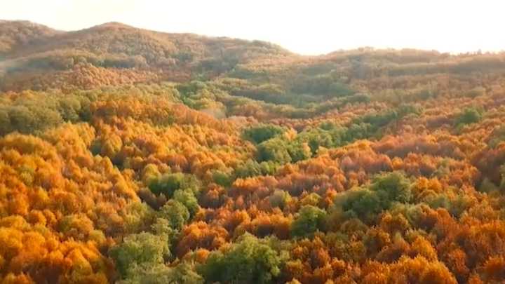 El Valle del Ambroz vuelve a vestirse con los colores del Otoño Mágico More