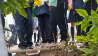 PAPNNA atendió 18 reportes por violencia sexual contra infancias y adolescencias en León