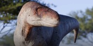 Descubren una nueva especie de dinosaurio carnívoro: por qué cambia lo que se sabía de los grandes depredadores prehistóricos