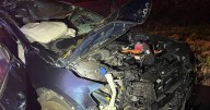 Moose hit by two cars in New Hampshire, seriously injuring driver