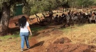 'De sus raíces, nuestro futuro': las mujeres rurales alzan la voz en Extremadura