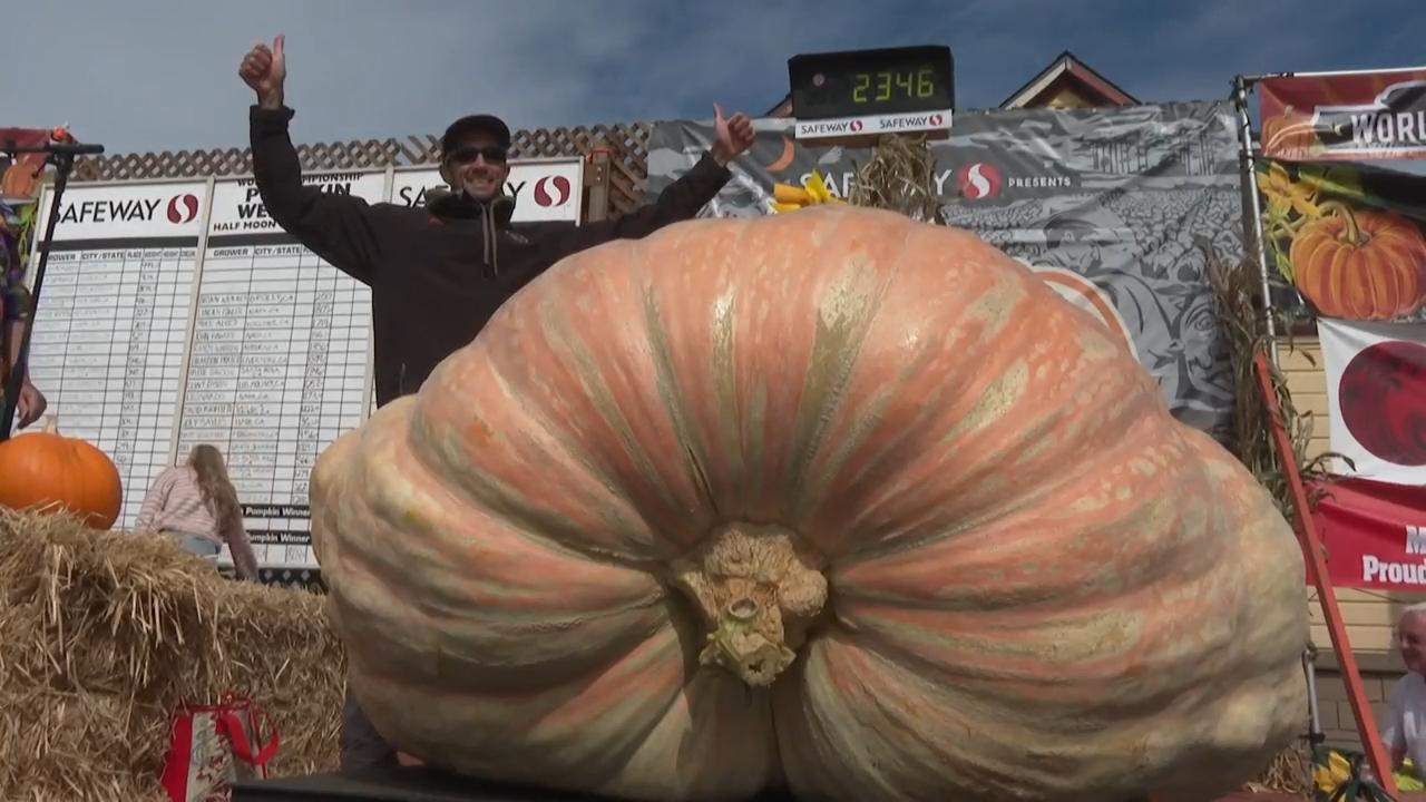 Engineer’s 2,346 pound ‘Precision Pumpkin’ wins annual pumpkin weigh