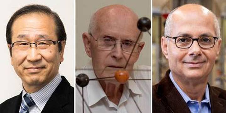 2025 Chemistry Nobel to three for developing metal