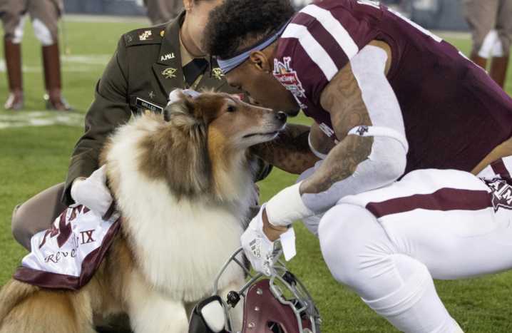 Texas A&M Pays Tribute to Reveille IX After Aggies’ Retired Mascot Died Due to Complications Mike Elko and Texas A&M come up with a heartfelt move during their game against Mississippi State for their