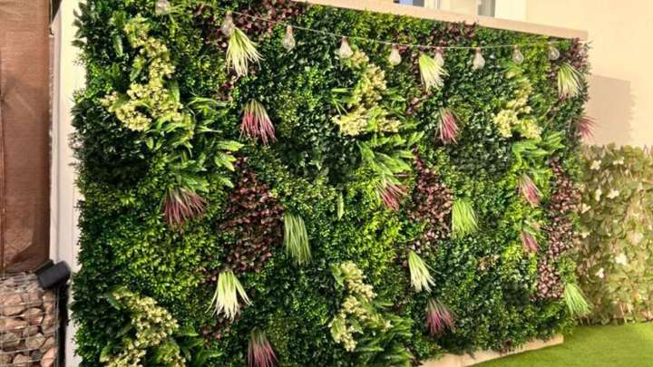 Cómo armar un jardín vertical y las mejores plantas para llenarlo de vida