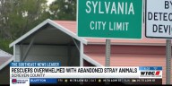 Screven County grapples with overpopulation of animals crisis