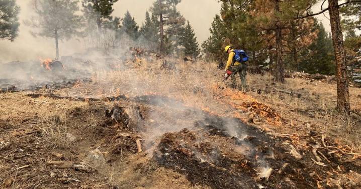 Helena to burn slash piles on Mount Helena, Mount Ascension this winter