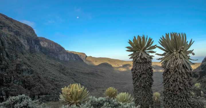 Tolima Divertido: naturaleza, cultura y aventura en una sola ruta