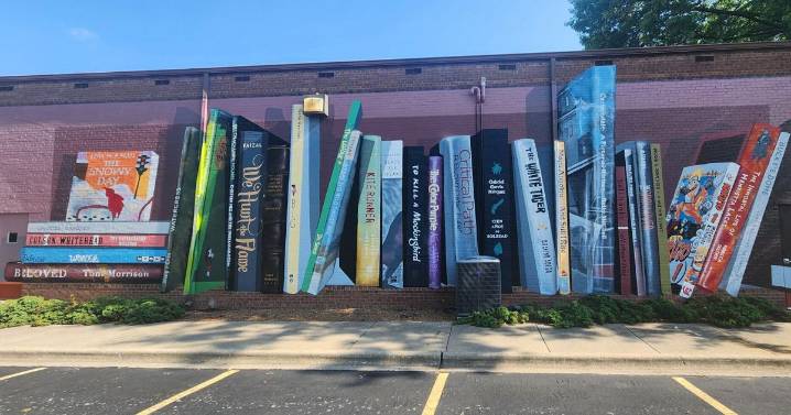 Carbondale Library's new sorting system readies requests quicker