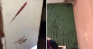 VIDEOS. Nuevas imágenes de la casa del terror, donde se perpetró el triple crimen en Florencio Varela