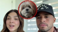 HGTV Couple Demand Accountability From Pro Pet