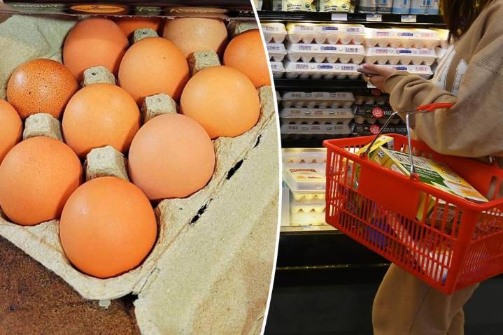 Mass egg recall over salmonella concerns expands, FDA says