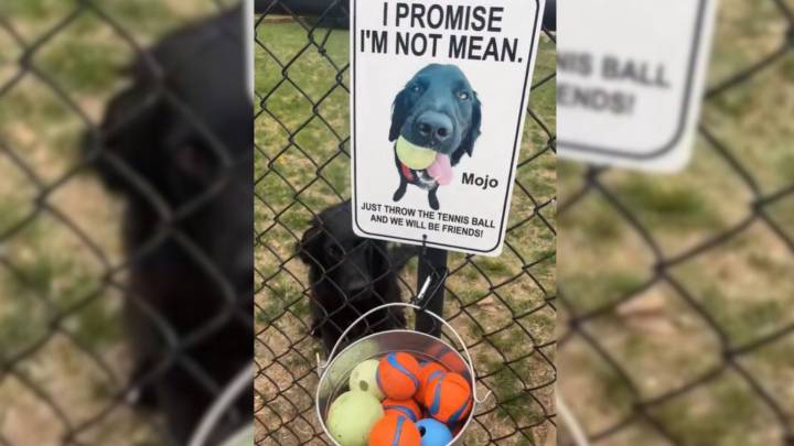South Dakota Dog Barked At Neighbors Until A Fence Note Turned Strangers Into Friends