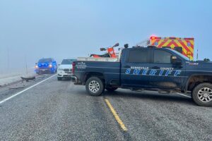 30-year-old man dies after striking cow on roadway near Swan Valley
