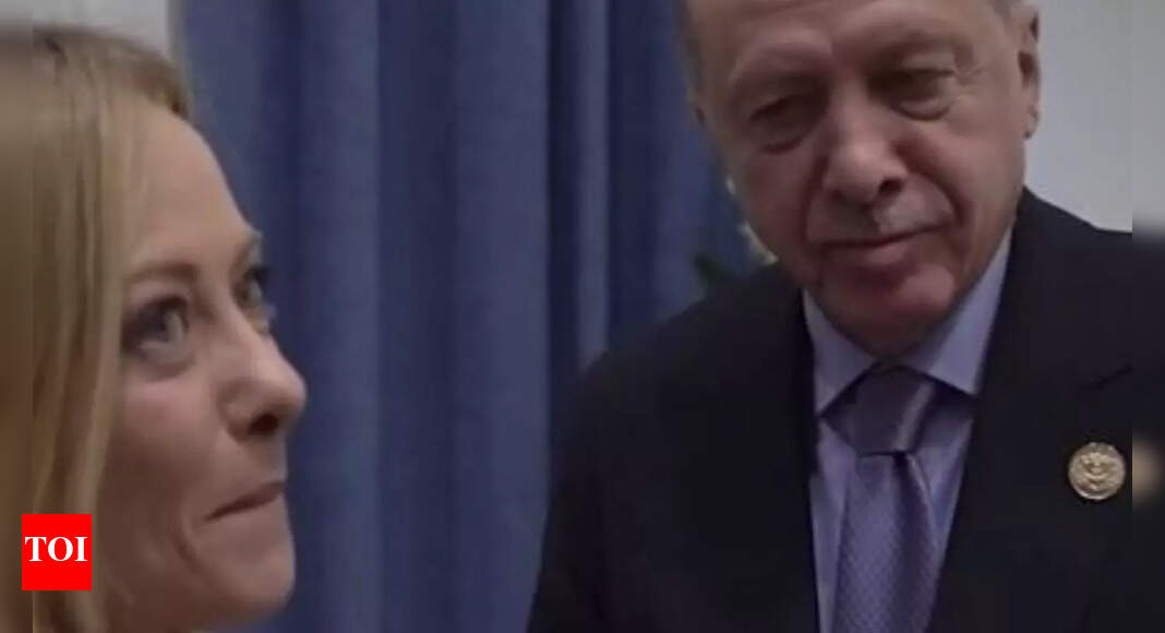 'You look great, but stop smoking!': Erdogan tells Meloni at peace talks