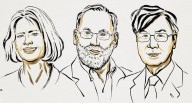 Nobel Prize in Physiology or Medicine 2025: Three scientists share honour