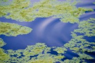 Mother charged after allegedly attempting to drown her three children in pond