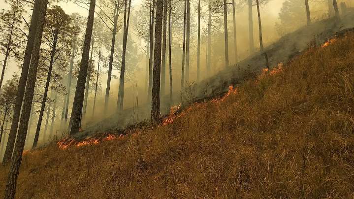 Short-term increase in PM2.5 concentrations due to landscape fires lead to significant increases in childhood hospital admissions: Study