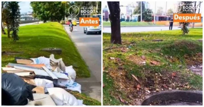 252,36 toneladas de residuos recolectados en jornada de limpieza en 8 localidades de Bogotá