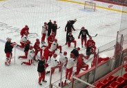 Red Wings lineup change adds size, experience, net presence