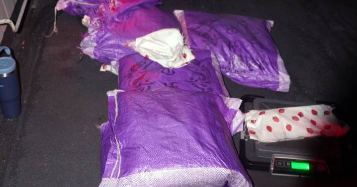 Royal Marines stop £35m illegal drugs shipment with bullseye shot
