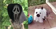 Pets in Costume Are the Halloween Treat We All Needed