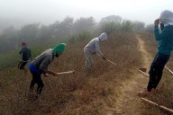 Rethinking conservation in an era of crisis (commentary)