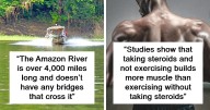 28 Interesting Facts To Intrigue The Ever