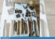 Las Lajitas: Tras un incendio, encontraron restos óseos en una finca, serían humanos