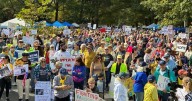 Thousands attend local No Kings rallies