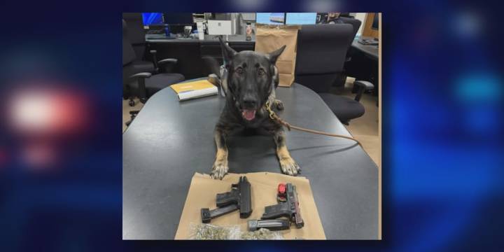 Seymour man arrested for car break-ins, drug possession