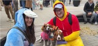 Hundreds of Calgarians attend 5th annual Pup Crawl in Kensington