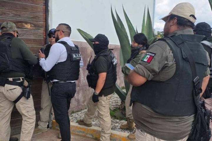 En estos dos casos, la Profepa investiga posible tráfico de especies en Hidalgo