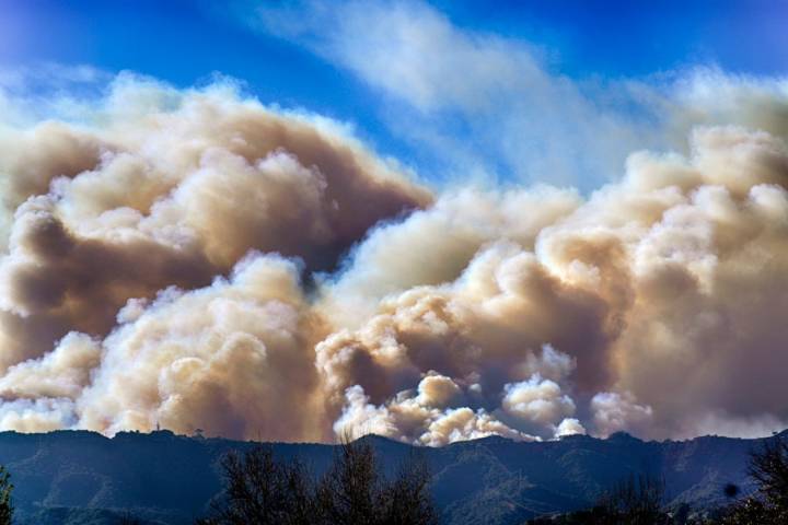 After suspect's arrest, LAFD finally releases its detailed analysis of Palisades Fire