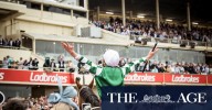 Cox Plate 2025