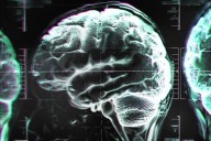 Científicos alertan fallos en guías de Vitamina B12 y riesgo para la salud cerebral