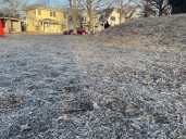 Frost finally hits Twin Cities, ending one of the longest growing seasons on record