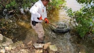 Conagua encabeza la limpieza en la sabana de Chetumal