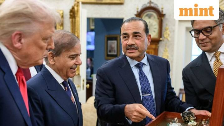‘Salesman’ Munir, ‘manager’ Sharif: Pak leaders mocked for rare earth display