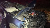 Moose hit by one car and then another on N.H. highway