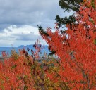 Good Morning, North Western Ontario!