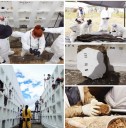 «Hallazgo Macabro: Recuperan 9 Cuerpos en el Cementerio Central de Pasto»