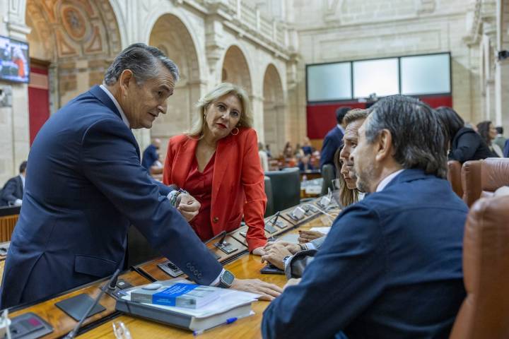 El Gobierno andaluz se refugia en anuncios sobre los cribados frente a las críticas unánimes de la oposición