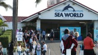 Sea World theme park thrill-seekers stranded in hot sun as two rollercoasters break down on Gold Coast