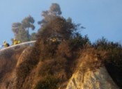 Task Force Clears Debris from Palisades Hillsides