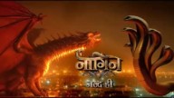 Ektaa Kapoor Plans Deadly Naagin VS Dragon Clash In New Season
