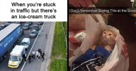 49 Wholesome Memes And Posts That Remind Us The World Isn’t All Bad