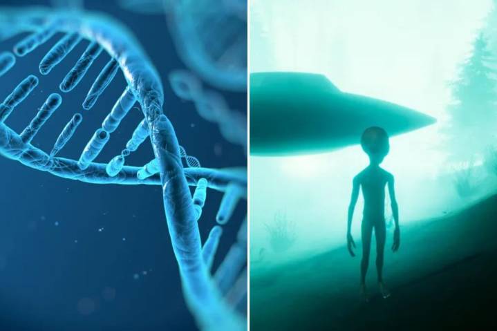 'Alien' DNA lurks inside human genome, scientist claims