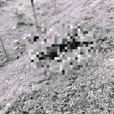 Tres cuerpos sin vida fueron hallados en zona rural de Aguazul
